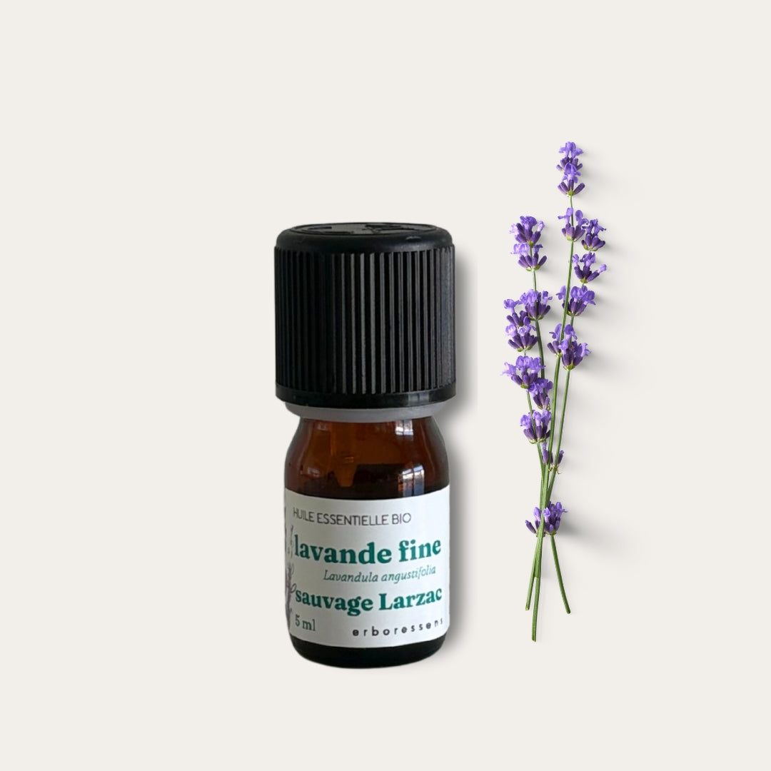 Huile essentielle BIO Lavande fine sauvage du Larzac 5mL