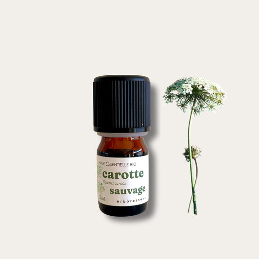 Huile essentielle BIO Carotte ombelle sauvage 5 mL