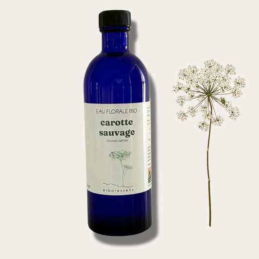 Eau florale BIO Carotte Sauvage 200mL