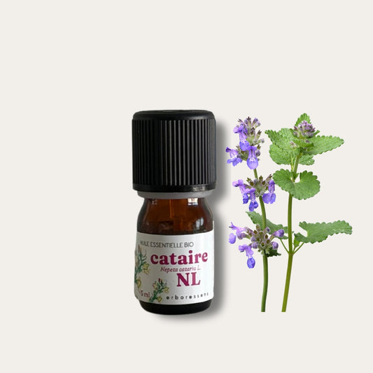 Huile essentielle BIO Cataire NL 5mL