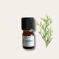Huile essentielle BIO Cèdre 5mL