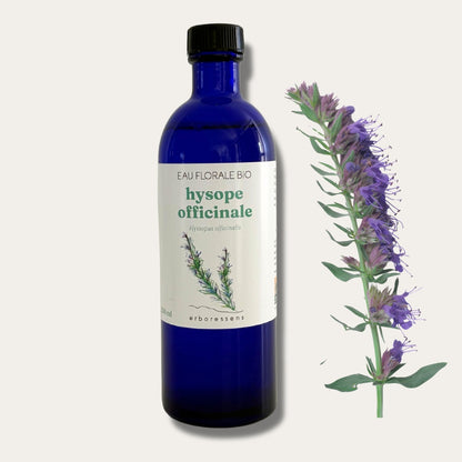 Eau florale BIO Hysope Officinale 