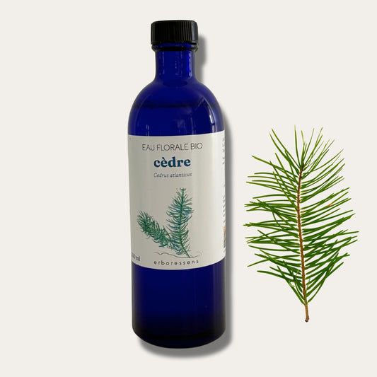 Eau florale BIO de cèdre 