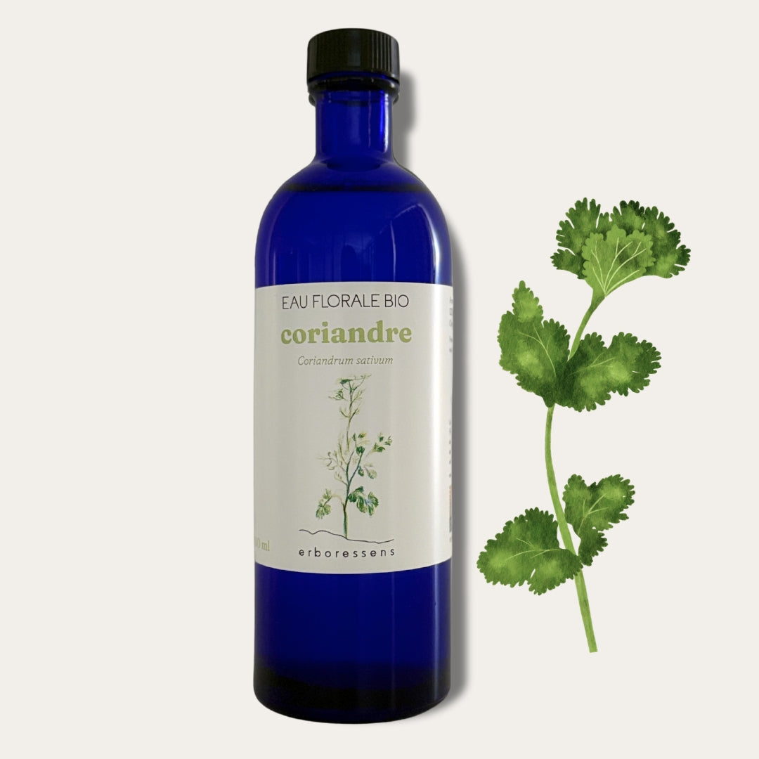 Eau florale BIO Coriandre 