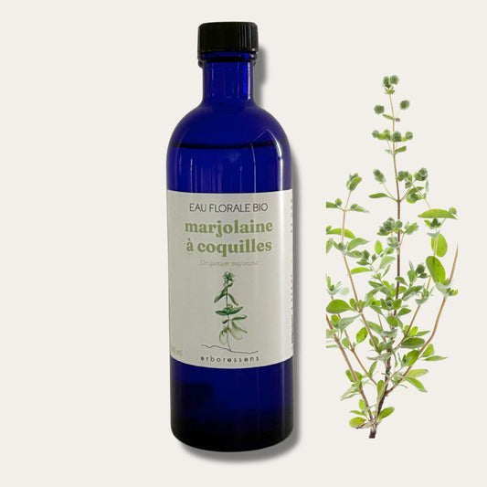 Eau florale BIO Marjolaine à coquilles 