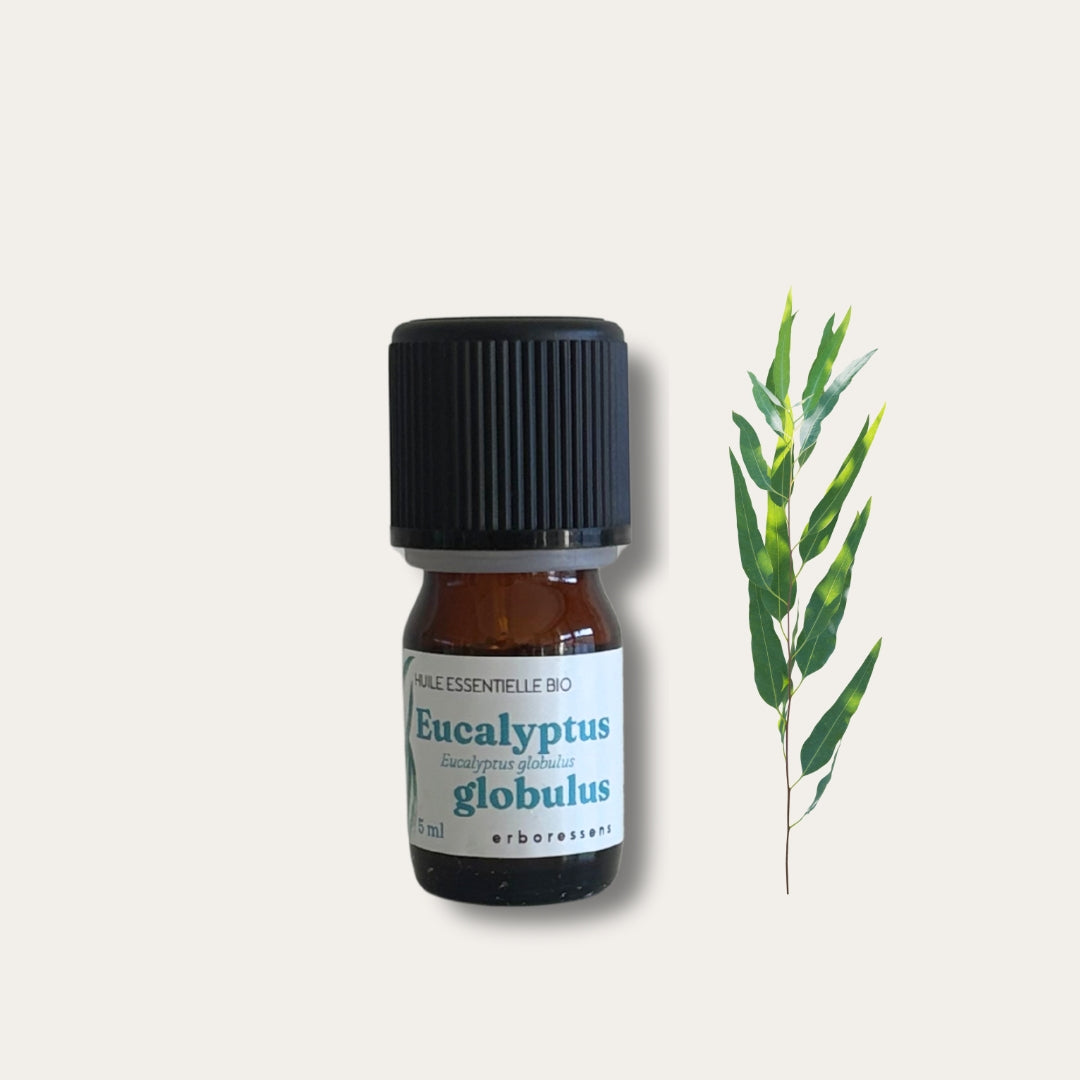 Huile essentielle BIO Eucalyptus globulus 5mL