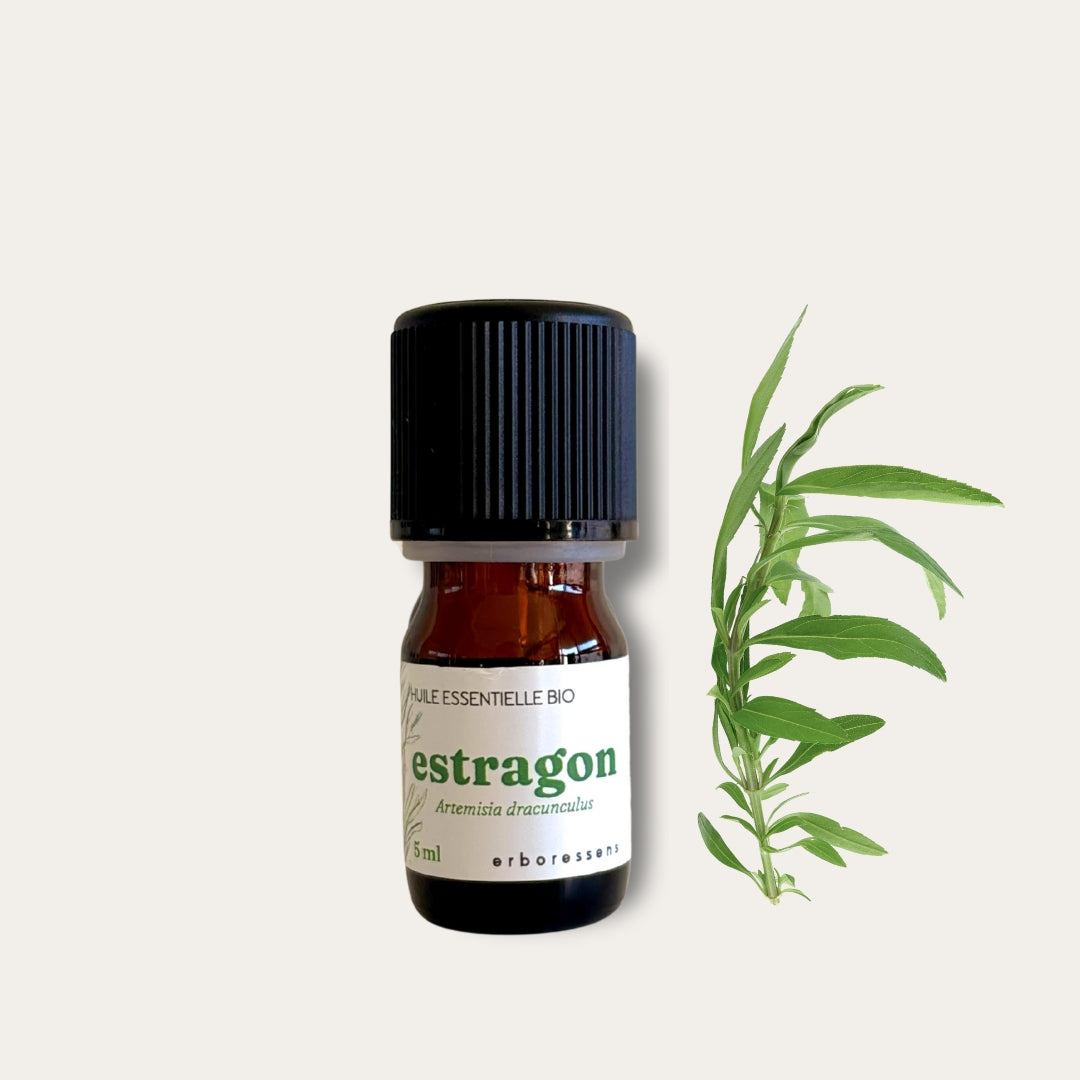 Huile essentielle estragon 