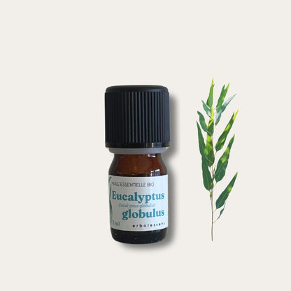 Huile essentielle Eucalyptus globulus 