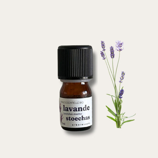 Huile essentielle Lavande stoechas 