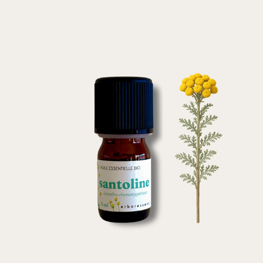 Huile essentielle Santoline BIO