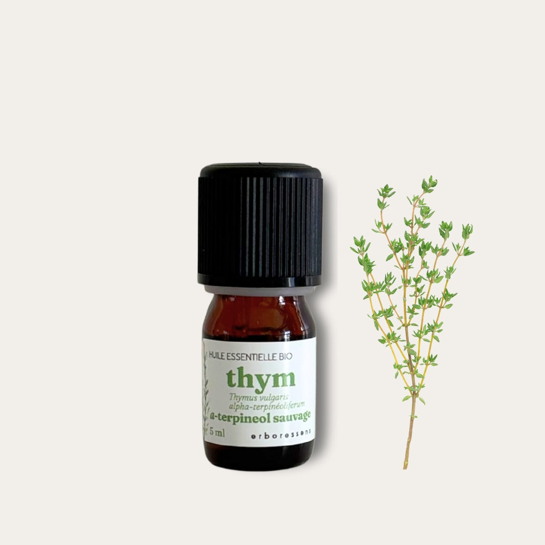 Huile essentielle Thym a-terpineol sauvage 