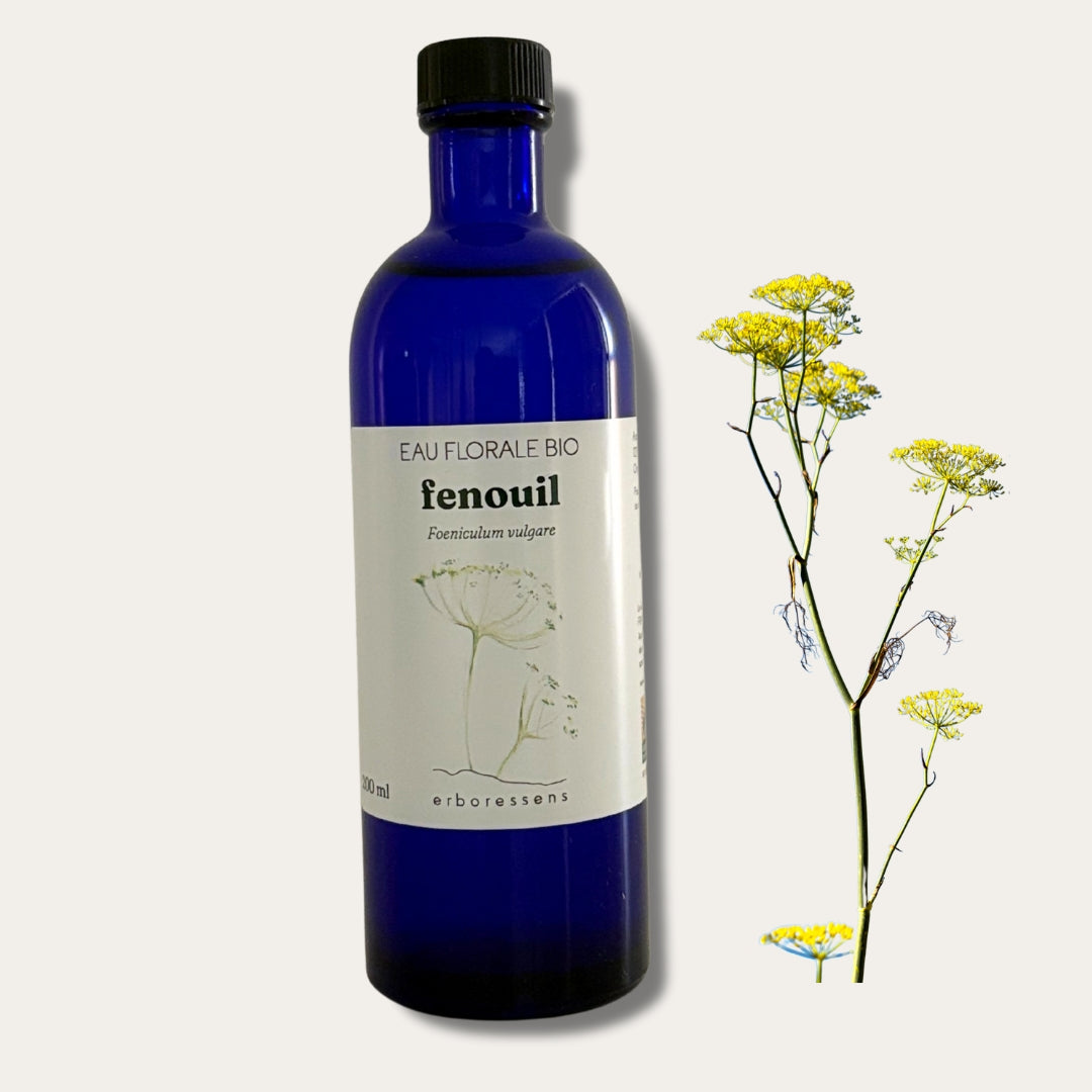 Hydrolat Fenouil BIO 
