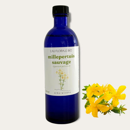 Hydrolat Millepertuis sauvage 