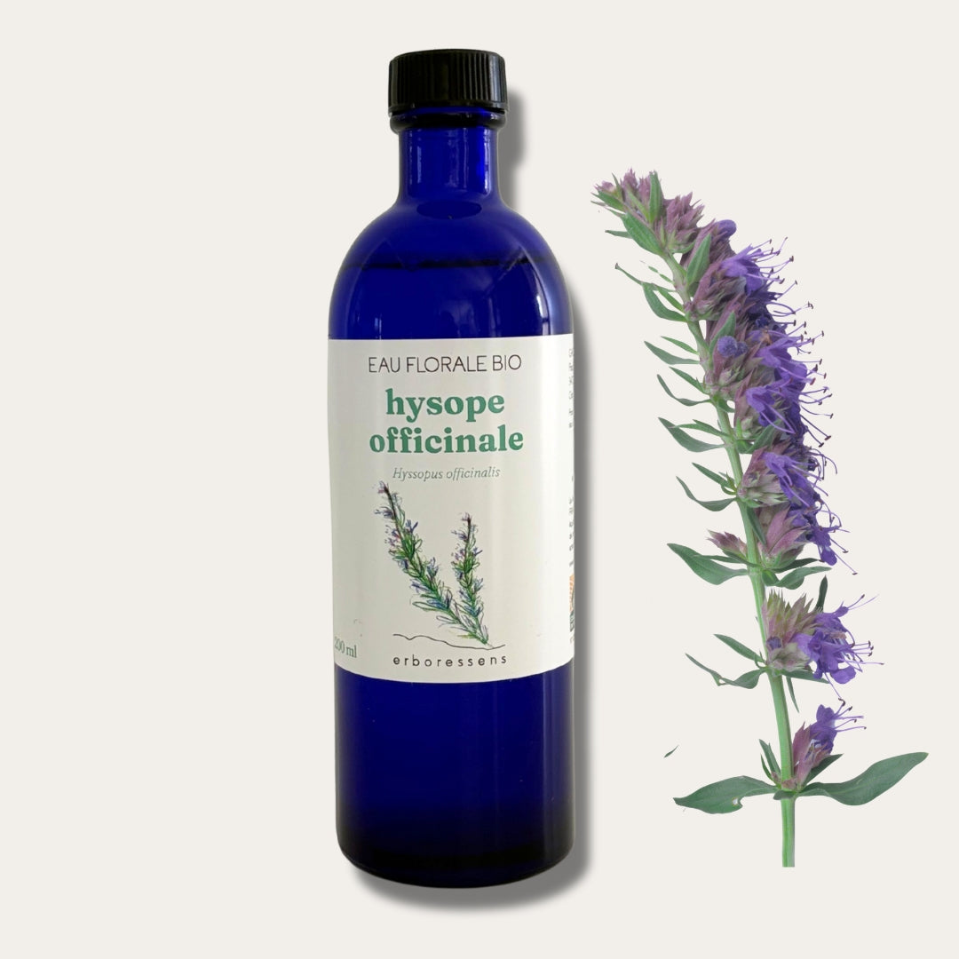 Eau florale BIO d'Hysope officinale 200 ml