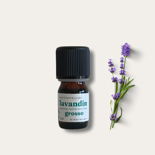 Huile essentielle BIO Lavandin Grosso 5 mL