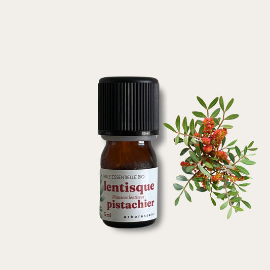 Huile essentielle BIO Lentisque pistachier 5mL