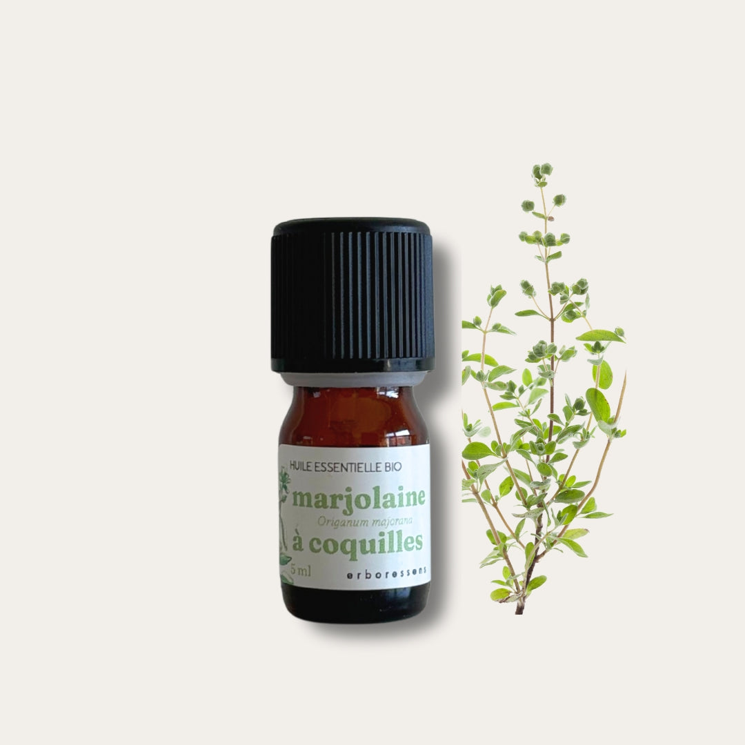 Huile essentielle BIO Marjolaine à coquilles 5 mL
