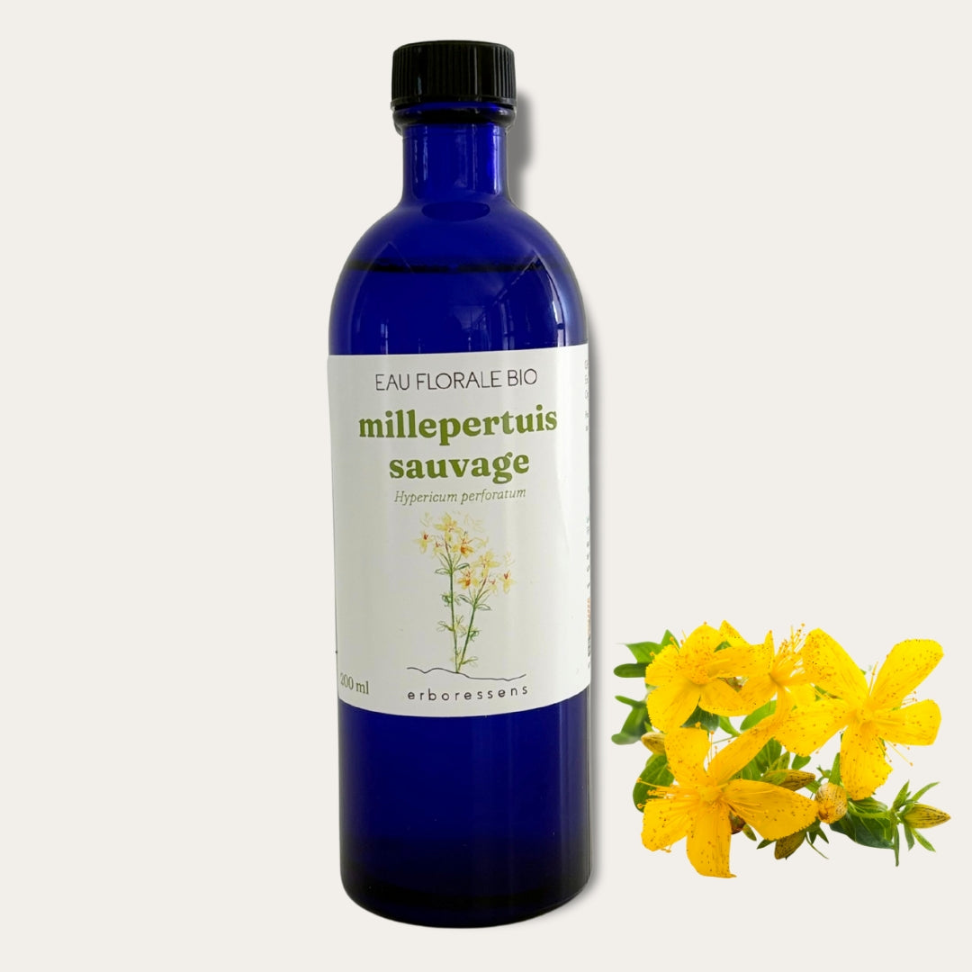Eau florale BIO Millepertuis sauvage 200ml