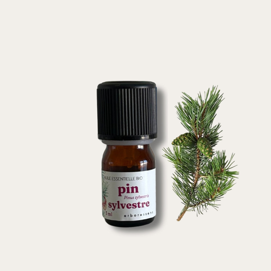 Huile essentielle BIO Pin sylvestre 5mL