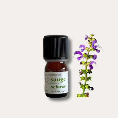 Huile essentielle Sauge_sclaree