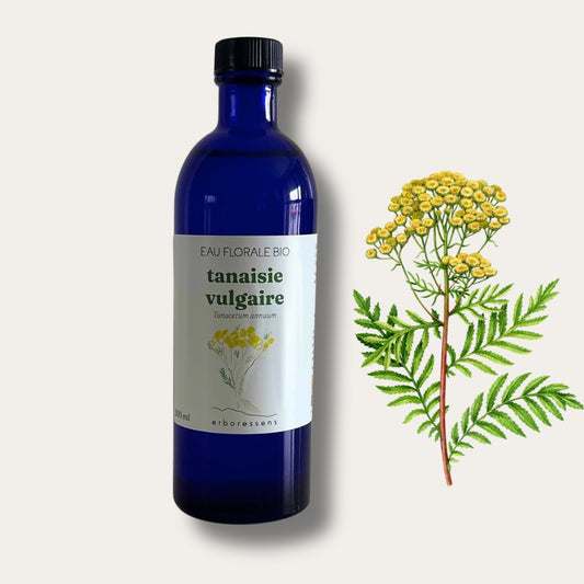 Eau florale BIO Tanaisie vulgaire 200ml