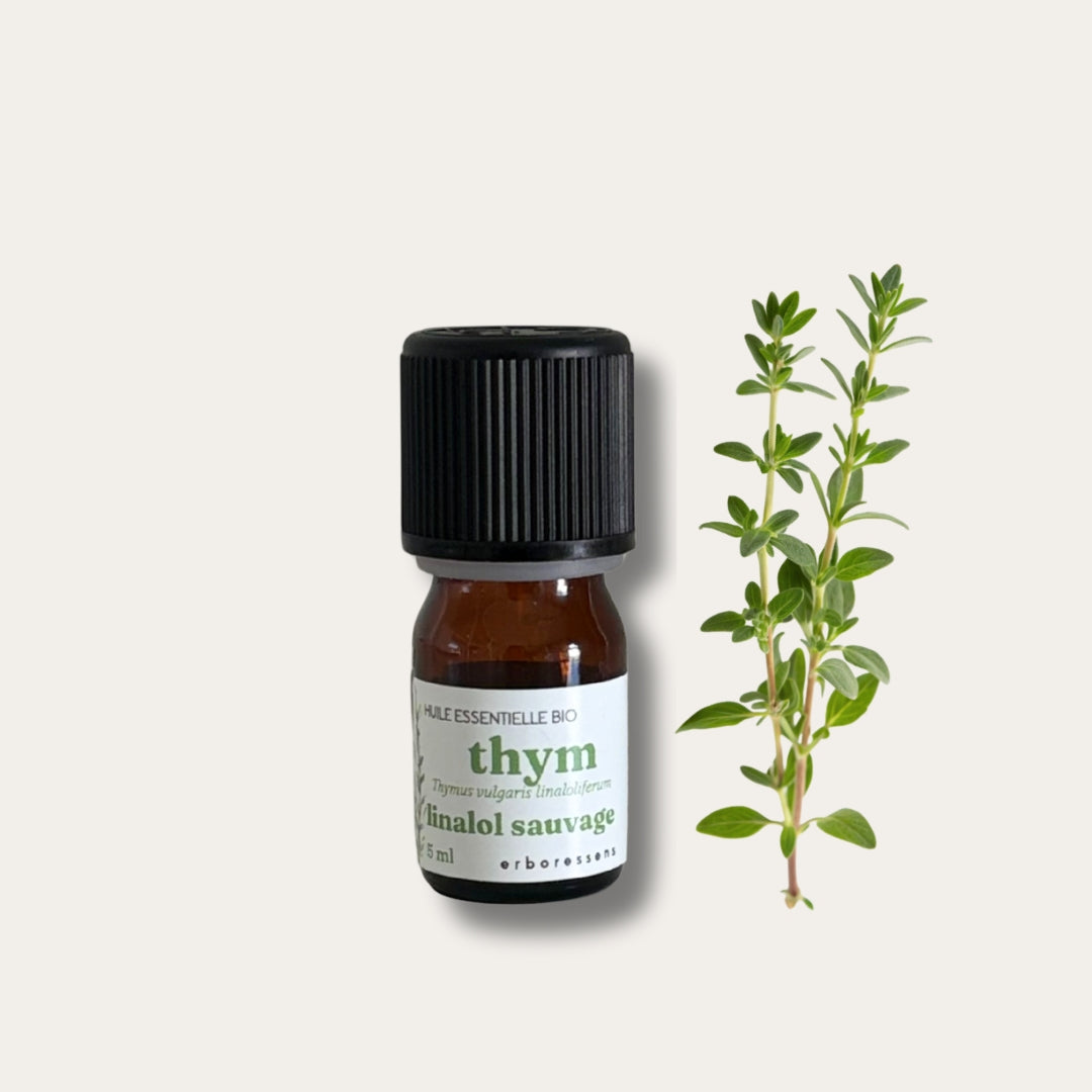 Huile essentielle BIO Thym linalol sauvage 5mL