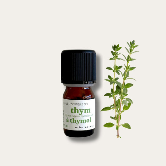 Thym à thymol BIO