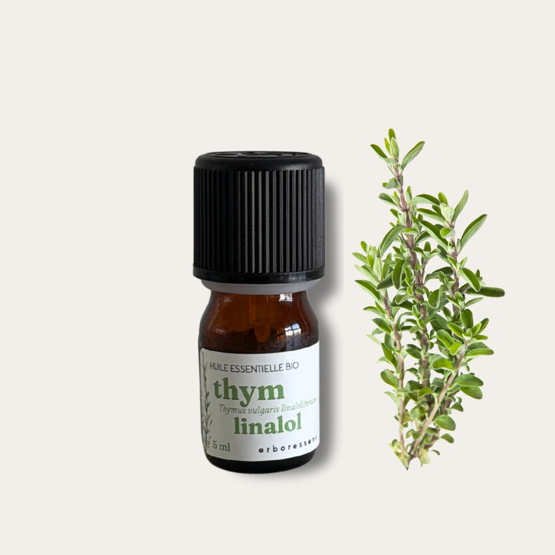 Huile essentielle BIO Thym à linalol 5 mL